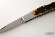 Baby Horn Original Remington Bone