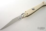 Ivory Picklock
