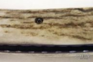 Damascus & Antler Folder