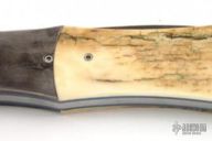 Linerlock Folder - Mammoth Bark