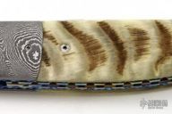 Linerlock Folder - Sheep Horn