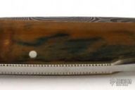 Damascus & Mammoth Ivory Lockback