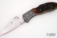 25th Anniversary Delica (#298)