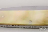 Goldlip Pearl Trapper