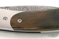 Kestrel - Customized Mammoth Ivory T09