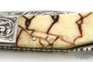 Engraved Tiger Coral Lockback