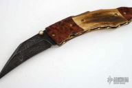 Damascus, Burl Wood & Bone Folder