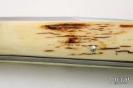 Mastodon Ivory Picklock