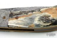 Linerlock Folding Knife