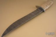 Damascus & Walrus Bowie