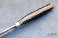 Racoon Sambar Stag Hunter (R. Newton)