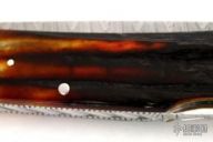 Damascus & Premium Stag Lockback