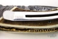 Damascus & Stag Flipper