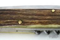 Lockback Folding Knife