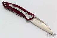 1610 Onion-Centofante