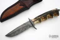 Damamascus & Stag Fixed Blade