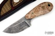 Pumpkin Seed Mini Skinner