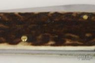 Lockback Folding Knife