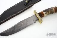 Damascus & Stag Knife