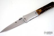 Assisted Linerlock Folder