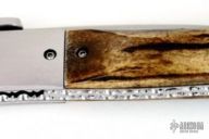 Assisted Linerlock Folder