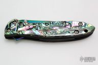 1660VIB Rainbow Leek - Pimped