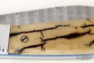 Bose "Lanny's Clip" Influence