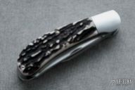 Two Bladed Saddlehorn