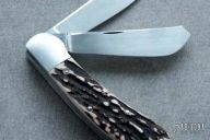 Two Bladed Saddlehorn