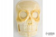 Elephant Ivory Skull