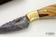 Mini Damascus Fixed Blade