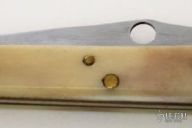 Deer Antler Slipjoint