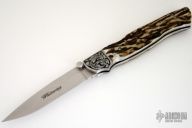 Whitewing Stag Lockback