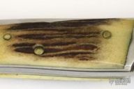 The Tennessee Road Dog