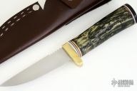 The Black Moose Hunter