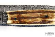 Damascus & Mammoth Ivory Folder
