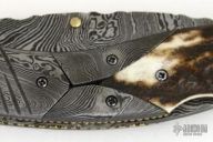 Damascus & Stag Lockback
