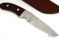 Presentation Stingare #4