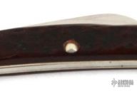 6269 Congress Folder