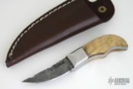 Mini Damascus Fixed Blade