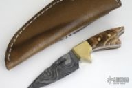 Mini Damascus Fixed Blade
