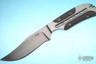 Phoenix - Inline Integral