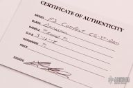 F3 Compact - Damasteel   