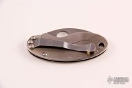 C29PT Cricket Tattoo