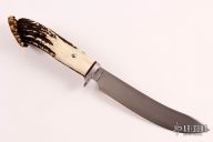 Large Skinner - Crown Stag