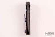 Dressed Persian Flipper