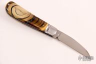 Swayback - Mammoth Ivory