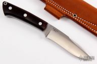 Custom 2008 - Limited Edition Recurve