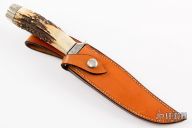 Engraved Stag Fighter