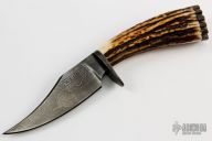 Damascus Clip Point Hunter